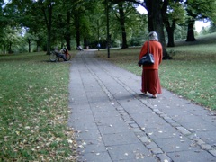 公園の散歩道