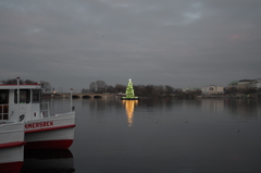 湖上に浮かぶクリスマスツリー