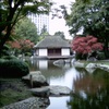 日本庭園