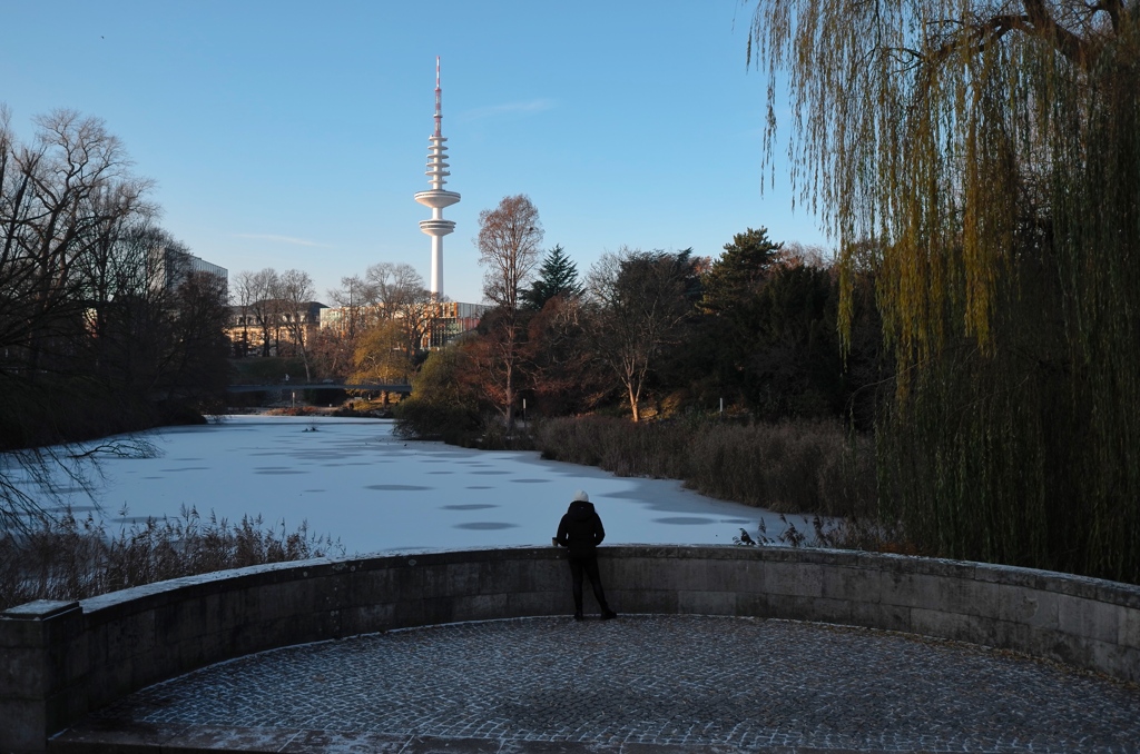 凍る公園の池