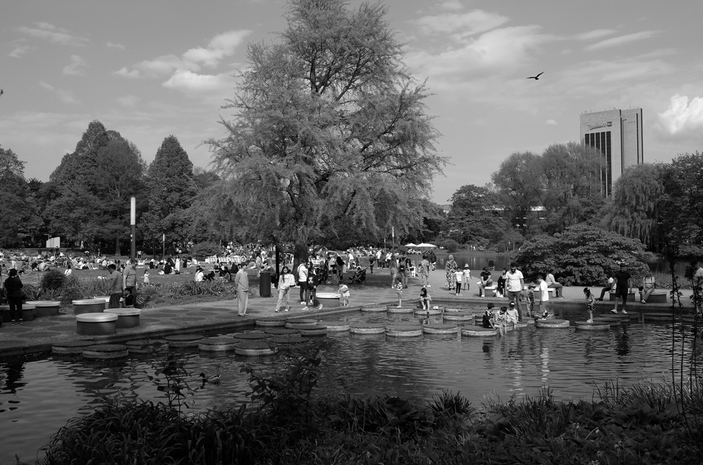 日曜日の公園