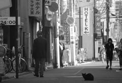 さいたま市大宮