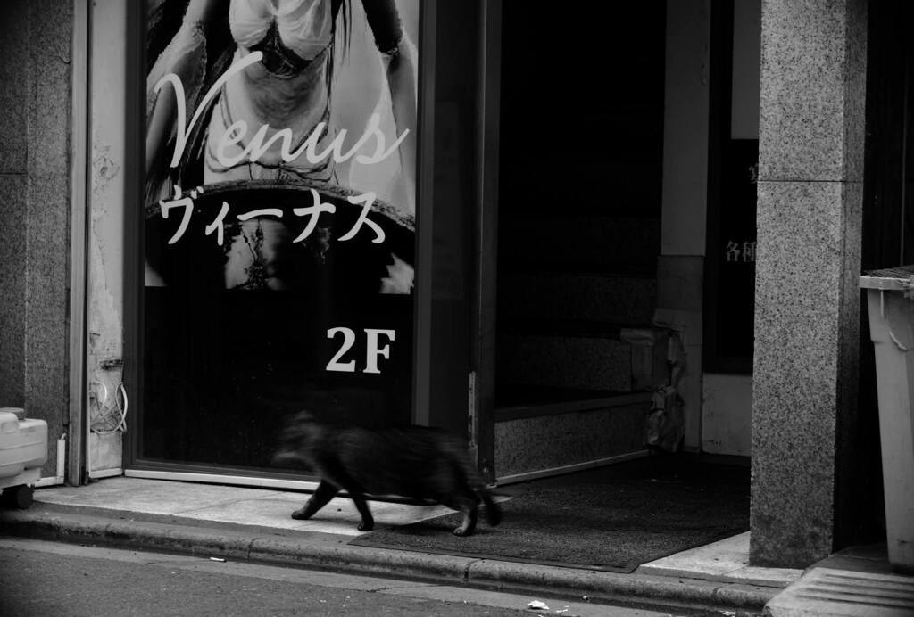 埼玉県さいたま市大宮区南銀通