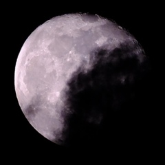 月　試し撮り