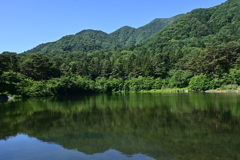 囀りが聞こえる
