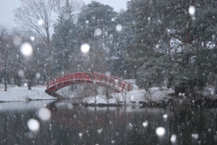 3月なのに　雪が降る