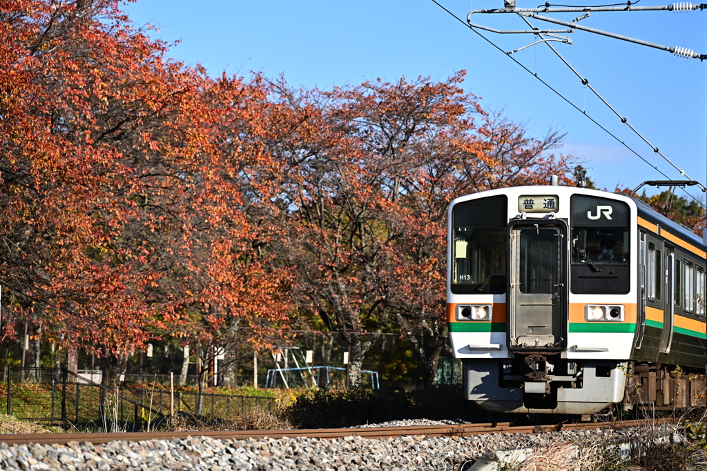 紅葉もそろそろ終わり