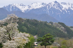 信濃路　春の風景　
