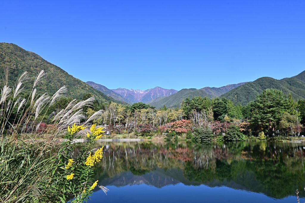 高原の　景色　秋色
