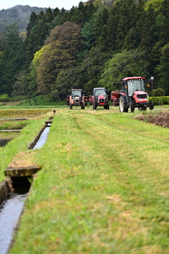 田圃道