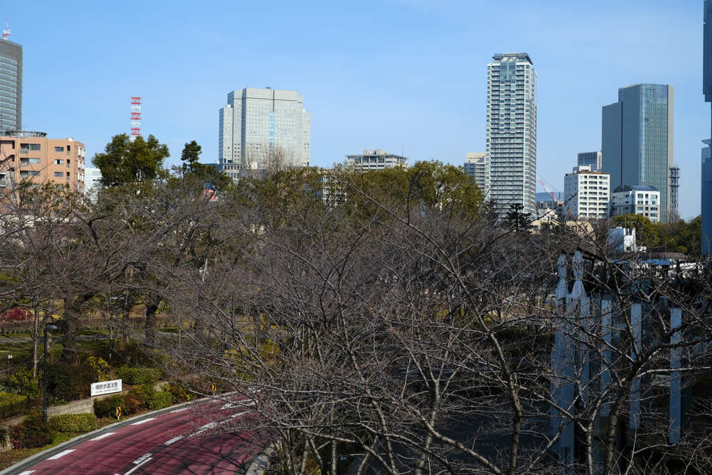 六本木ミッドタウン