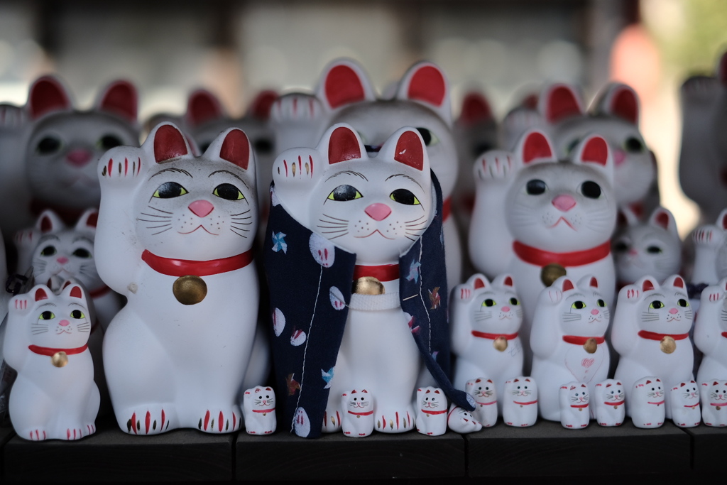豪徳寺　招き猫