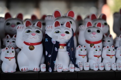 豪徳寺　招き猫