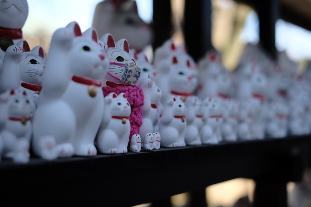 豪徳寺　招き猫