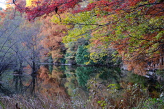 三宝寺