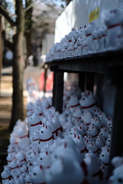 豪徳寺　招き猫