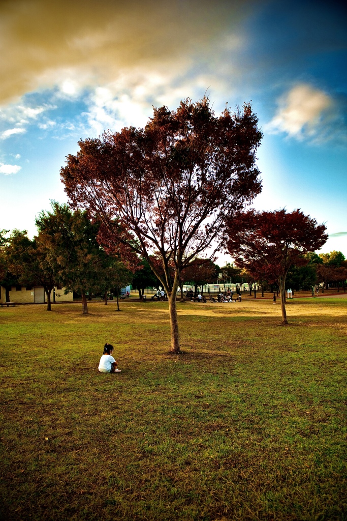 健康公園