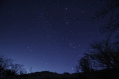 DSC_0695-01