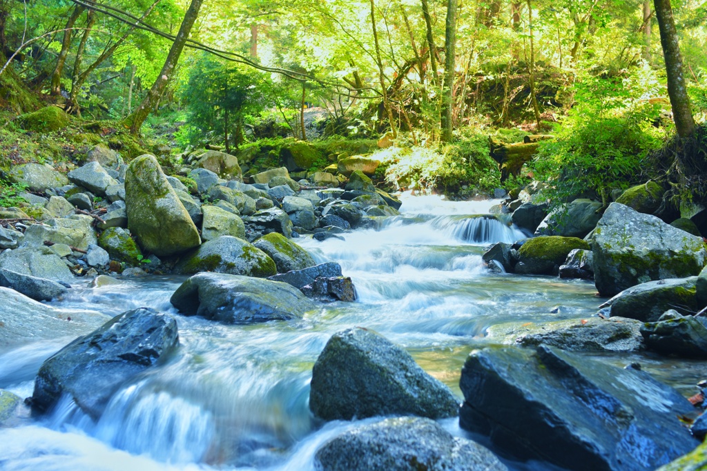 道志の奥の小さな川