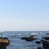 鳥居の先に何がある・・・