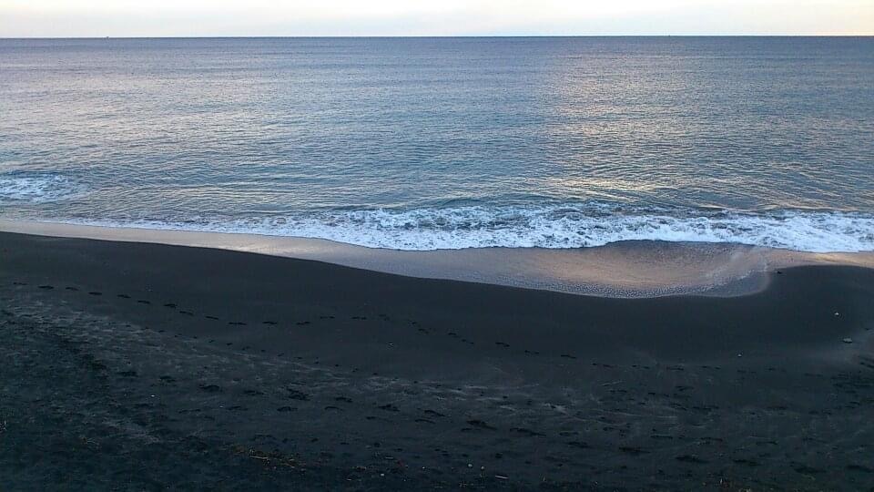 海