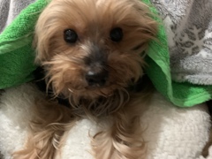 冬ムード