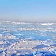 ある年の1月1日