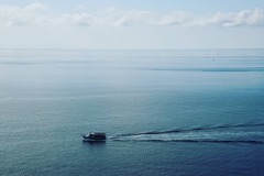 海