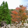 紅葉トレッキング
