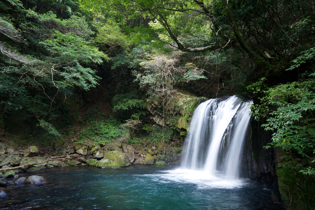 河津七滝 初景滝