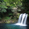 河津七滝 初景滝