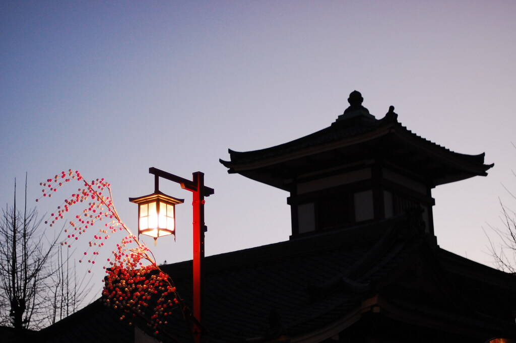 早朝の灯り