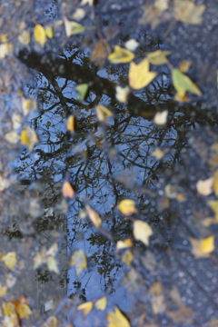 向こう側の世界（この写真の評価お願いします）