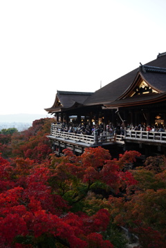 紅葉