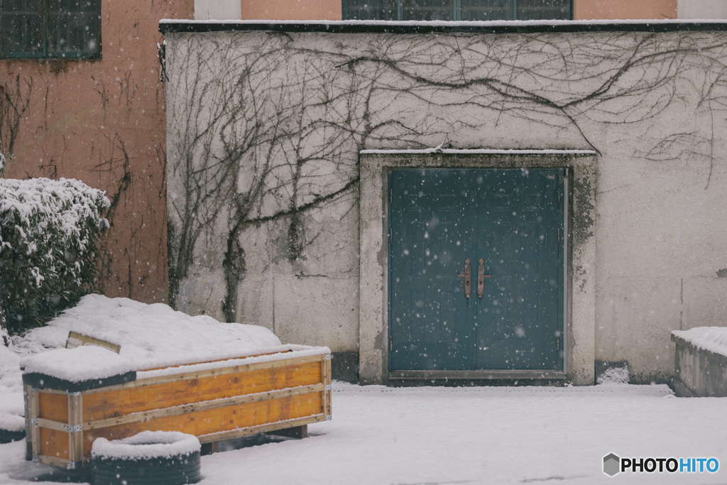 Zhejiang University in the snow