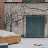 Zhejiang University in the snow