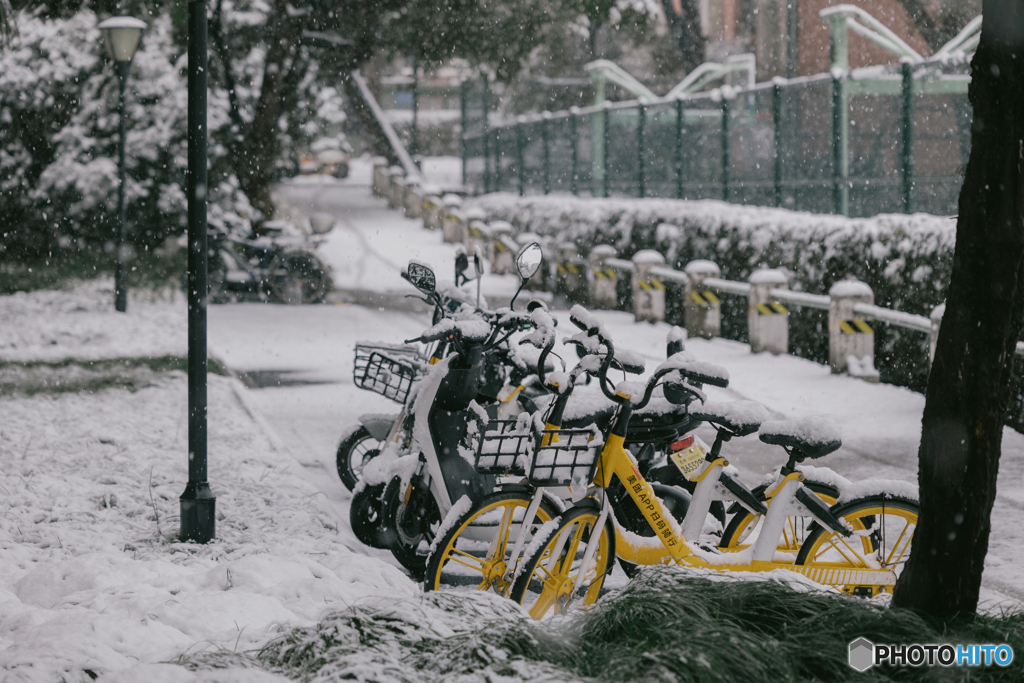 Zhejiang University in the snow: Bicycle