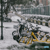 Zhejiang University in the snow: Bicycle
