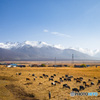 甘粛省: キリアン山脈の下 