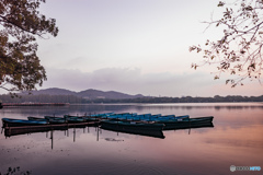 Hangzhou: 神舟基地