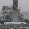 Zhejiang University in the snow
