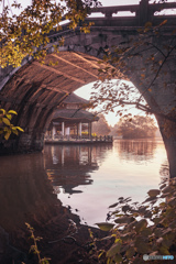 Hangzhou: 黛色参天