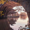 Hangzhou: 黛色参天