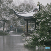 杭州西湖曲院风荷 West Lake Hangzhou