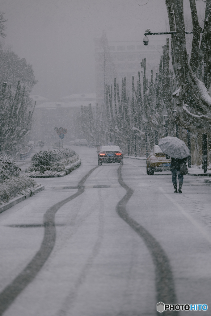 Zhejiang University in the snow