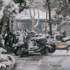 Zhejiang University in the snow: Bicycle