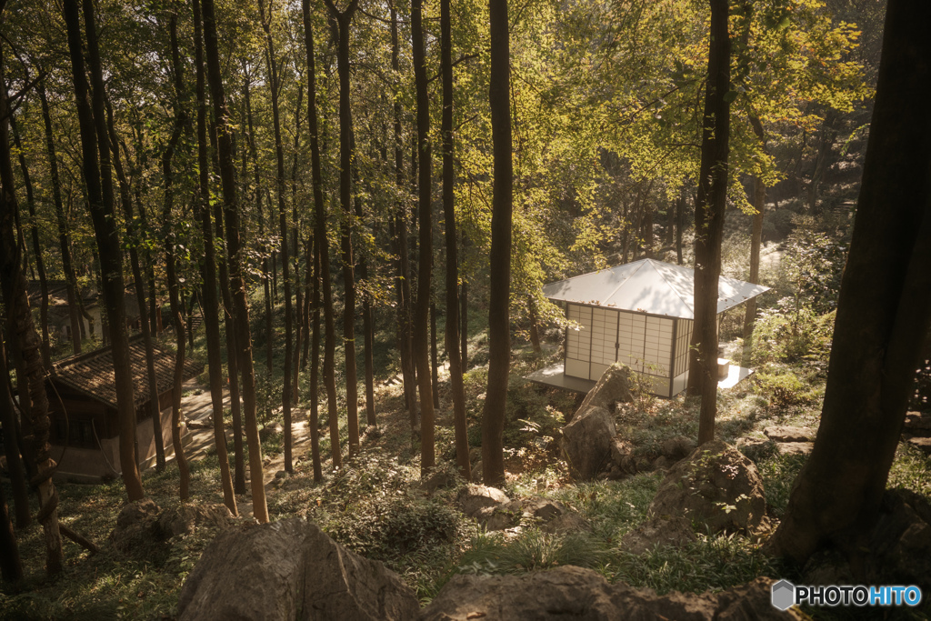 Hangzhou: Longjing Tea Museum