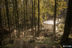 Hangzhou: Longjing Tea Museum