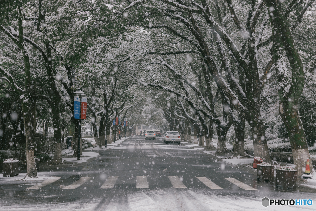 Zhejiang University in the snow