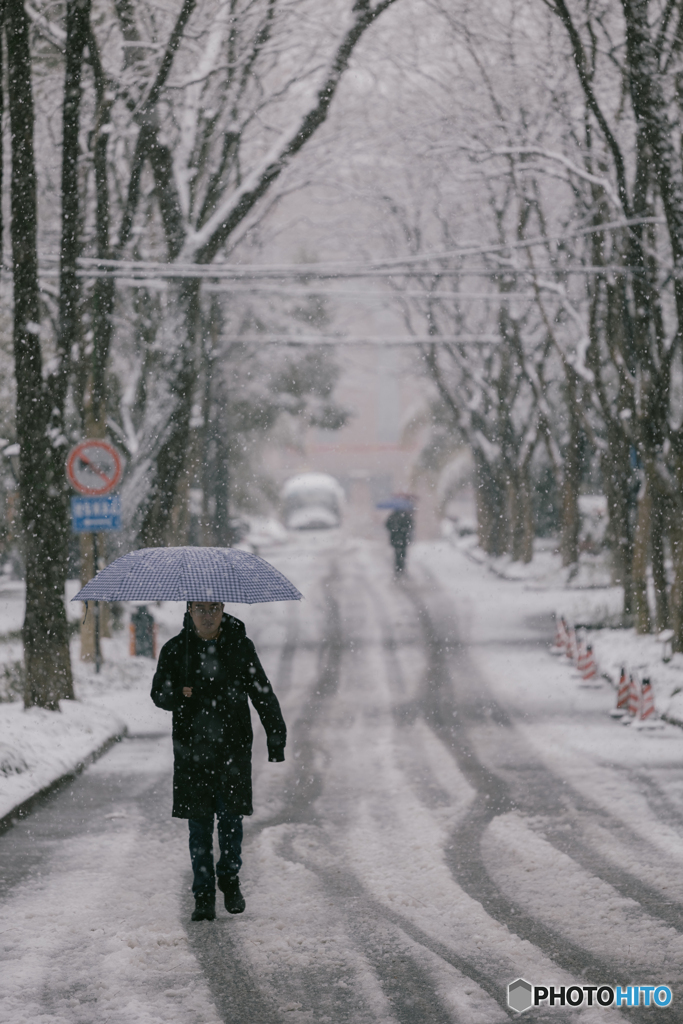 Zhejiang University in the snow